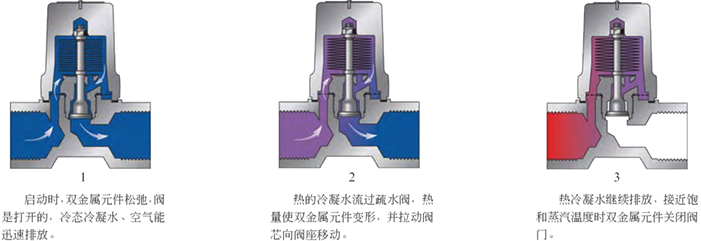 進(jìn)口雙金屬溫調(diào)式蒸汽疏水閥3.jpg