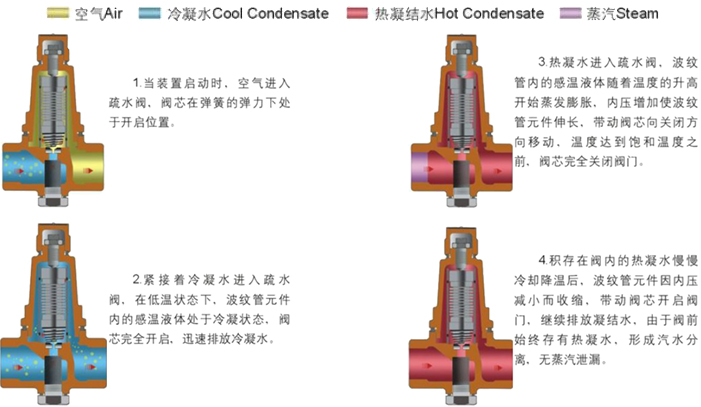 進(jìn)口恒溫式波紋管蒸汽疏水閥3.jpg