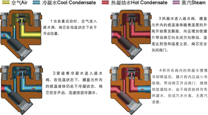 進(jìn)口熱靜力膜盒式蒸汽疏水閥3.jpg