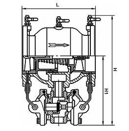 進(jìn)口低阻力倒流防止器結(jié)構(gòu)圖.jpg