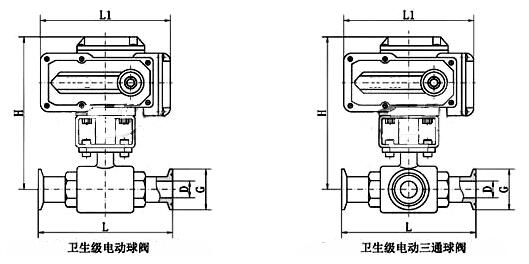 進(jìn)口電動(dòng)衛(wèi)生級(jí)球閥結(jié)構(gòu)圖.jpg