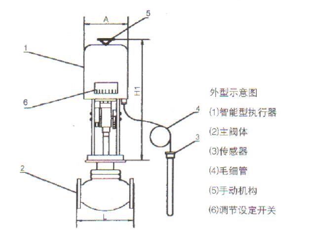 進(jìn)口電動溫度調(diào)節(jié)閥結(jié)構(gòu)圖.jpg