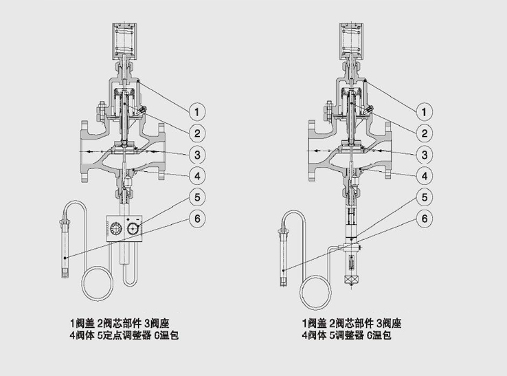 進(jìn)口自力式溫度調(diào)節(jié)閥結(jié)構(gòu)圖2副本.jpg