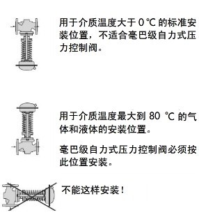 進(jìn)口自力式蒸汽調(diào)壓閥結(jié)構(gòu)圖3.jpg