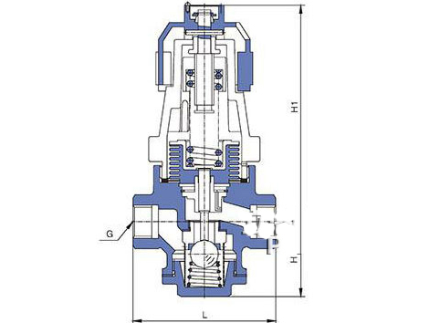 進(jìn)口波紋管式減壓閥結(jié)構(gòu)圖.jpg