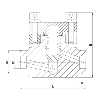 進口低溫高壓止回閥結(jié)構(gòu)圖.jpg
